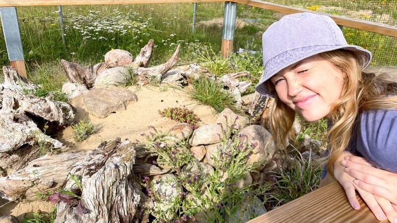 Nina besucht eine Zauneidechsen-Aufzuchtstation in Schleswig-Holstein. – Bild: BR/​BILD+TEXT Medienproduktion GmbH & Co. KG/​Marcella Müller