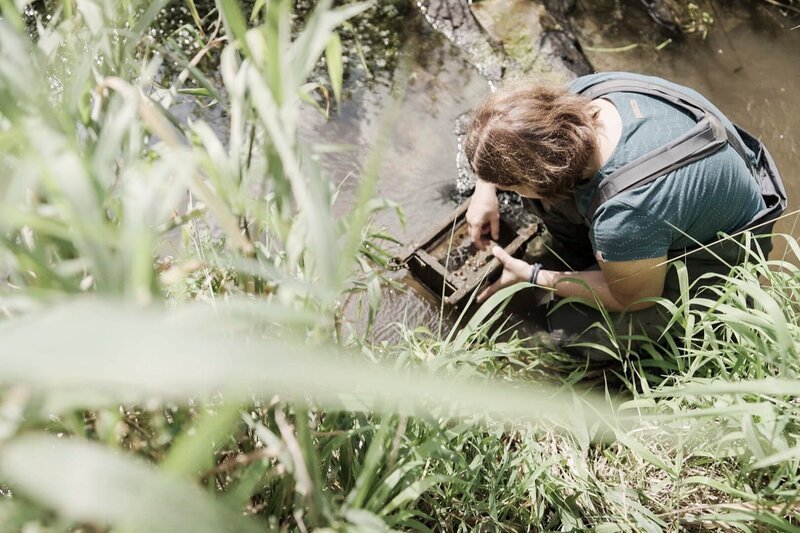 Sarah Höfler, Gewässerökologin, sucht in der Maltsch nach einem geeigneten Platz im Flussbett, um die gezüchteten Flussperlmuscheln auszusetzen – Bild: ServusTV /​ Bilderfest