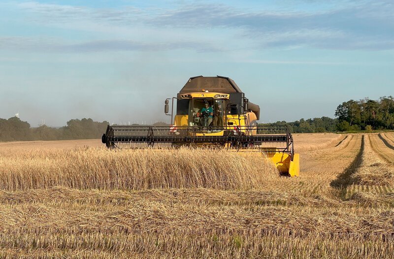 Mähdrescher von Landwirt Johann Gerdes. – Bild: rbb/​Stefanie Otto