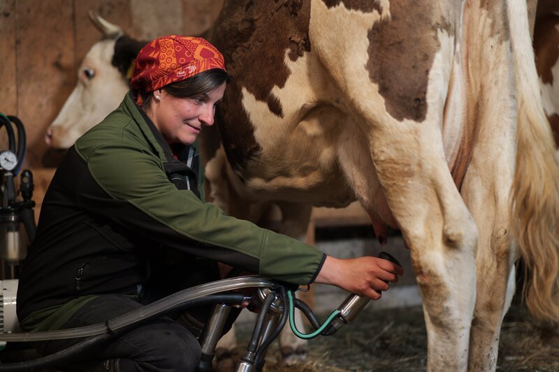 Anita Planitzer beim Kühe Melken im Kuhstall mit Milchkannen während Heimatleuchten – Vom Kommen und Gehen am 11.08.2025 Radmer. – Bild: ServusTV /​ Paul Pichler