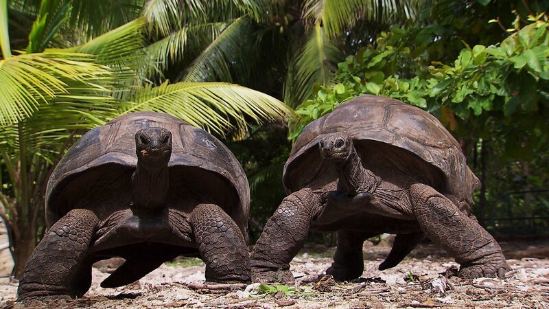 Bild: ZDF und Eric Bacos