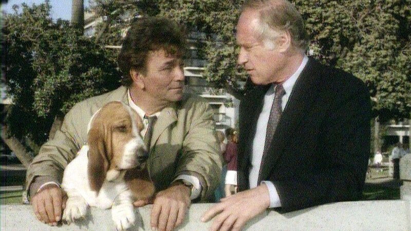 Lt. Columbo (Peter Falk, li.) befragt den Psychologen Dr. Sidney Hammer (George Coe), der die verstorbene Louise behandelte, nach Hinweisen für einen eventuellen Mord. – Bild: SUPER RTL