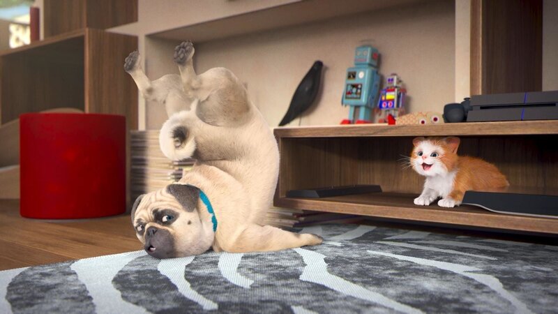 Bild: PLURIMEDIA (TeamTo)