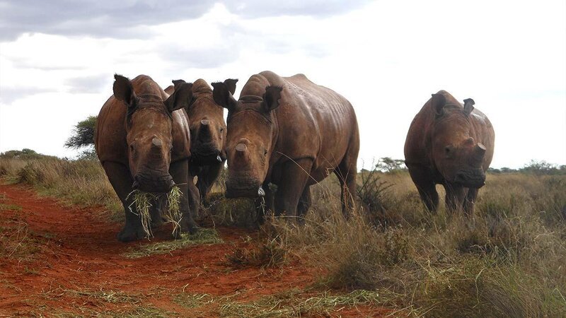 . – Bild: ANIXE HD