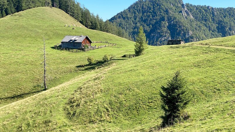 Blahbergalm, Oberösterreich. – Bild: ORF /​ splashfilm