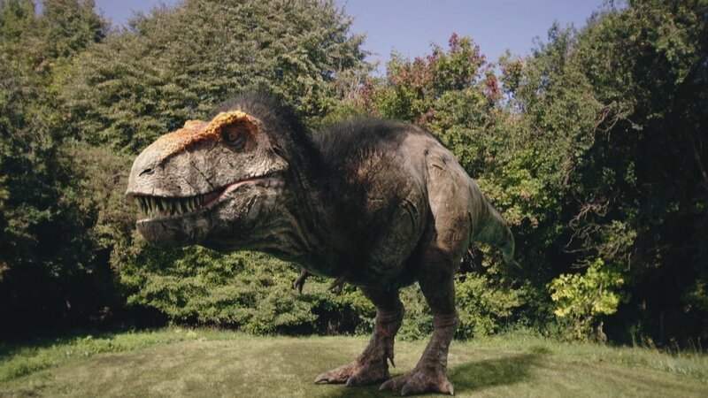 Tyrannosaurus Rex – die Ikone einer schrecklichen Echse. Auch ihn sollten wir uns heute nicht mehr ohne Federn vorstellen, sagen die Forscher. – Bild: ZDF