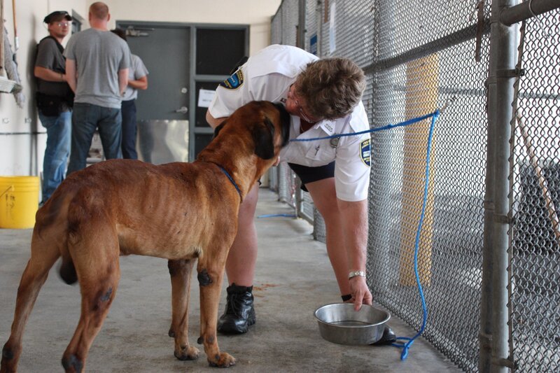 Lisa mit Brutus – Bild: TLC/​Discovery Channel