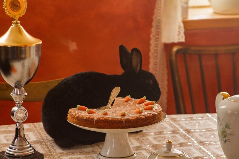 Bild: KiKA/​Kinderfilm GmbH