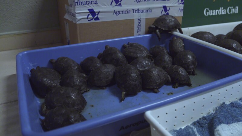 Bild: Discovery Communications