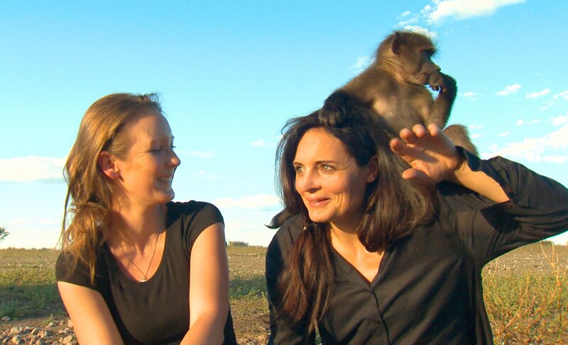 Schauspielerin Elisabeth Lanz (re.), bekannt als TV-Tierärztin Dr. Mertens, geht mit Volontärin Davina Platz heute auf Tuchfühlung mit Pavian Olli. – Bild: SWR/​Harald Mittermüller