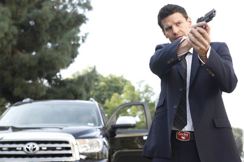 Bild: Copyright: Greg Gayne