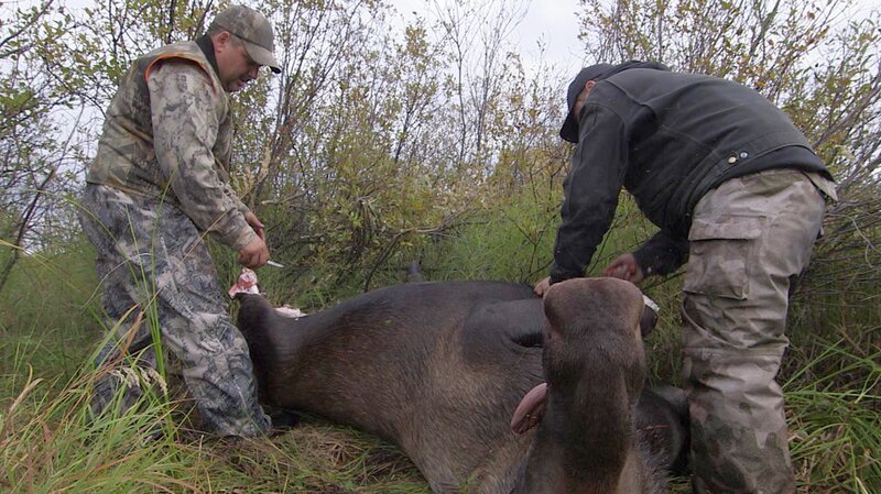 Bild: Discovery Channel /​ Photobank 33317_ep305_006.jpg /​ Discovery Communications