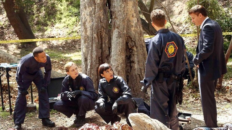 Bild: TVNOW /​ FOX