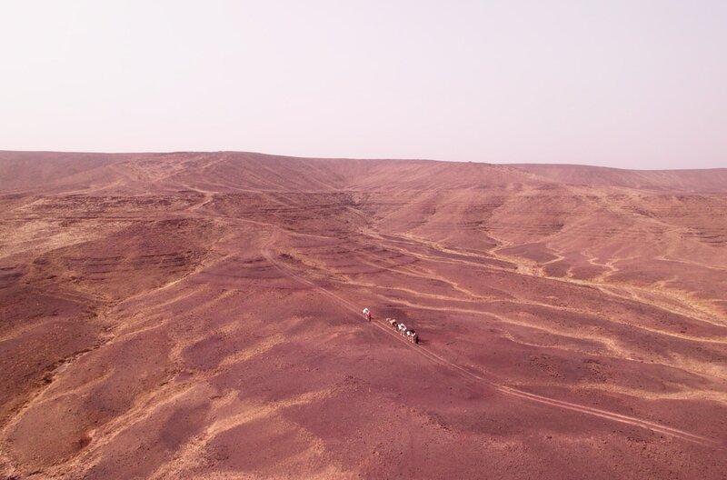 Bild: NDR/​Samuel Häde