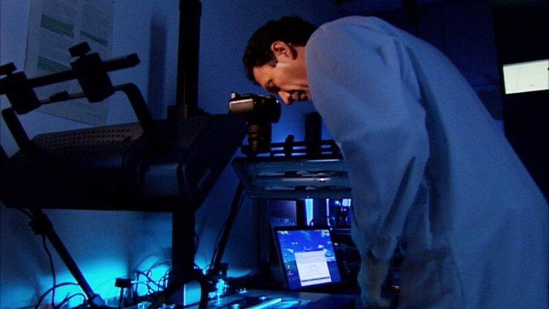 Bild: RTL Deutschland