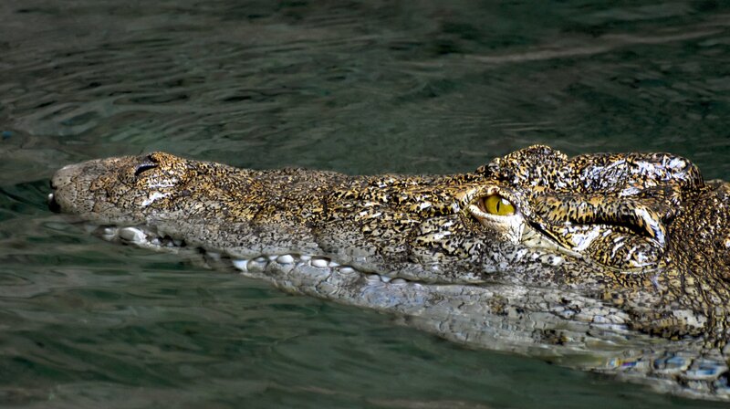 Bild: NDR/​Doclights GmbH