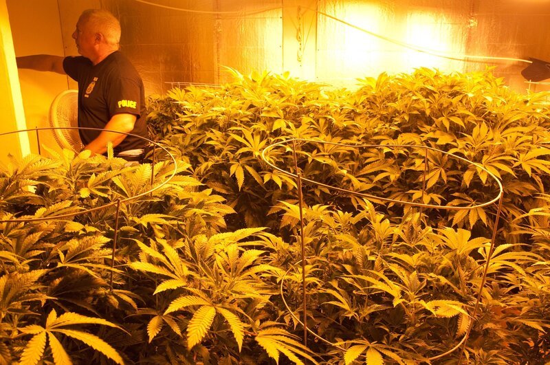 Kevin Cunningham – Bild: 2015 National Geographic Partners, LLC.  All rights reserved. Lizenzbild frei