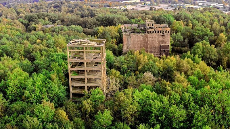 Bild: Go Button Media Lizenzbild frei