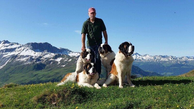 Toni Britschgi mit seinen Bernhardinerhunden am Wandern. – Bild: ZDF und SRF, B&B Endemol Shine AG