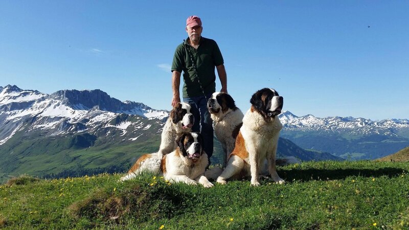 Toni Britschgi mit seinen Bernhardinerhunden am Wandern. – Bild: ZDF und SRF, B&B Endemol Shine AG