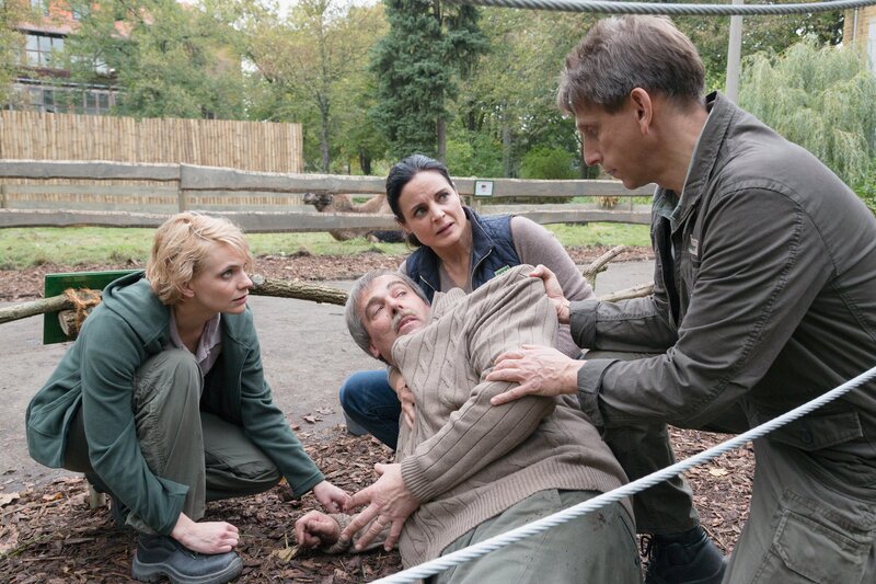 Dr. Susanne Mertens erfährt, dass ihr Kollege Tierarzt Dr. Fischer die Untersuchung des Nashornbullen mit dem neuen Röntgengerät durchgeführt hat – ohne ihr Wissen. Von links: Anett (Anna Bertheau), Tierarzt Dr. Fischer (Bodo Hölscher), Dr. Susanne Mertens (Elisabeth Lanz) und Conny (Thorsten Wolf). – Bild: ARD/​Steffen Junghans