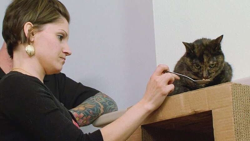 . – Bild: Warner Bros. Discovery