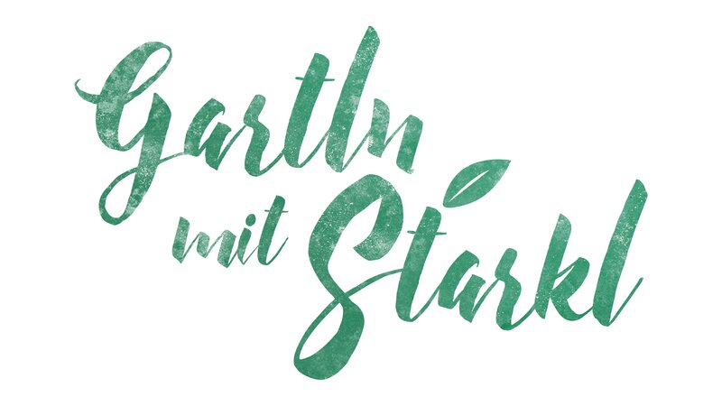 Die Kommissare Hofer und Hansen sind gespannt auf die Untersuchungsergebnisse von Pathologin Mai. – Bild: ORF/​ZDF/​Bojan Ritan