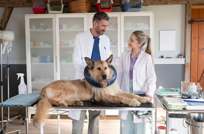 Greta (Enya Elstner, rechts) und Kajo (Jochen Schropp, links) haben den verletzten Streuner namens Brötchen nach einem schweren Unfall notoperiert. – Bild: SWR/​Maria Wiesler