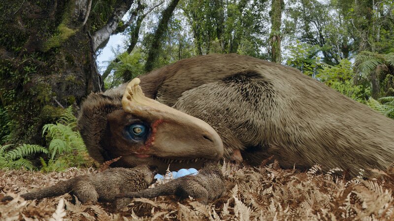 Viele Forscher trauen den antarktischen Dinosauriern zu, ihre Eier bereits wie Vögel selbst ausgebrütet zu haben. Im wärmeren Gegenden konnten ihre Verwandten die Eier der Sonne zum Ausbrüten überlassen, wie es viele heute lebende Reptilien tun. – Bild: Giant Screen Films /​ ZDF