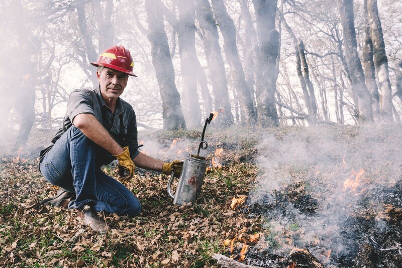 Feuer mit Feuer bekämpfen: Dirk Steffens zeigt, wie mit absichtlich gelegten Feuern verheerende Wildfeuer verhindert werden können. – Bild: ZDF /​ Oliver Roetz