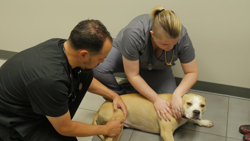 Bild: Discovery Communications, LLC