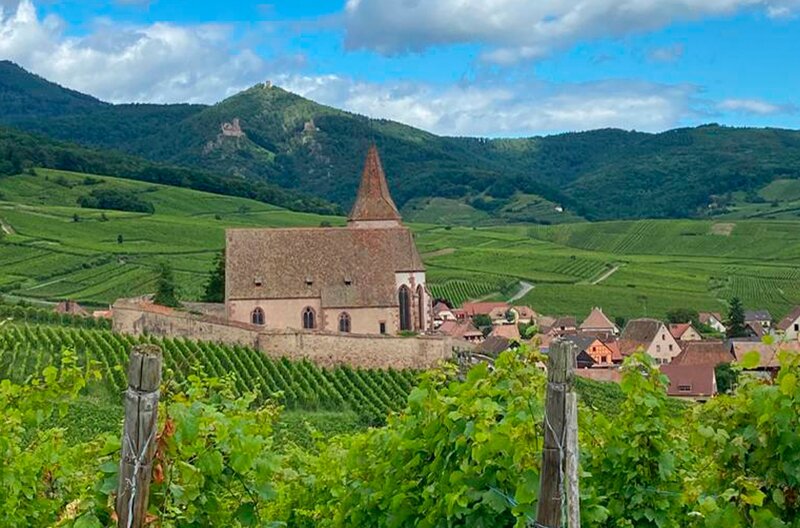 Das Elsass ist weltberühmt für seine Weine. – Bild: WDR/​Michael Wieseler