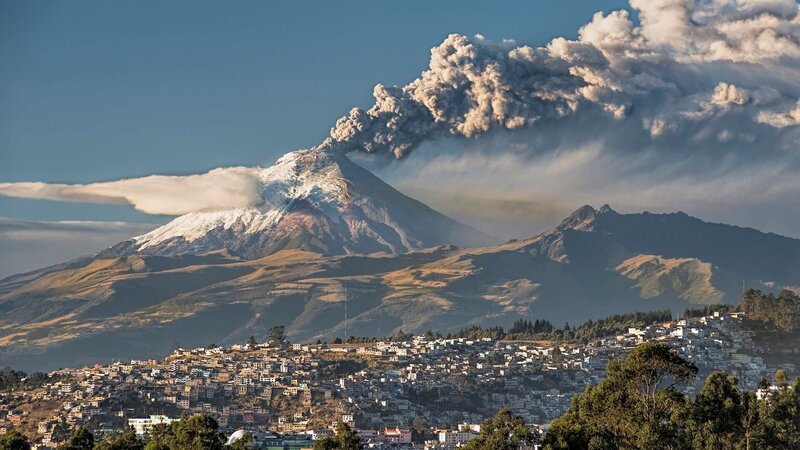 Bild: MAXIMUS FILM GmbH /​ WeltN24 GmbH