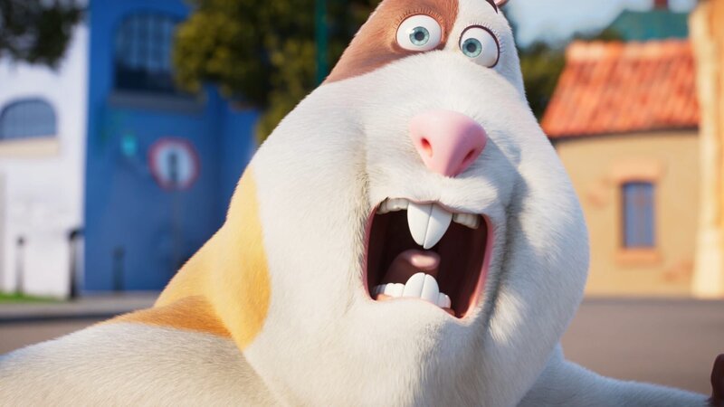 Meerschwein Albert ist entsetzt: er soll Sport treiben! – Bild: KiKA/​KiKA Sixteen South/​Mikros Animation IP/​Tencent