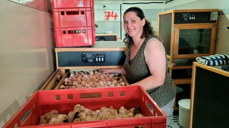 Bild: NDR/​Svenja Harks