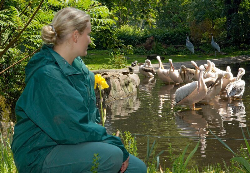 10 Uhr vom NDR im Ersten. Saskia Pietron bei den Pelikanen. – Bild: NDR/​Sandra Hoever