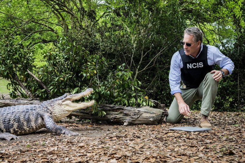 Bild: PLURIMEDIA (CBS Broadcasting Inc.)