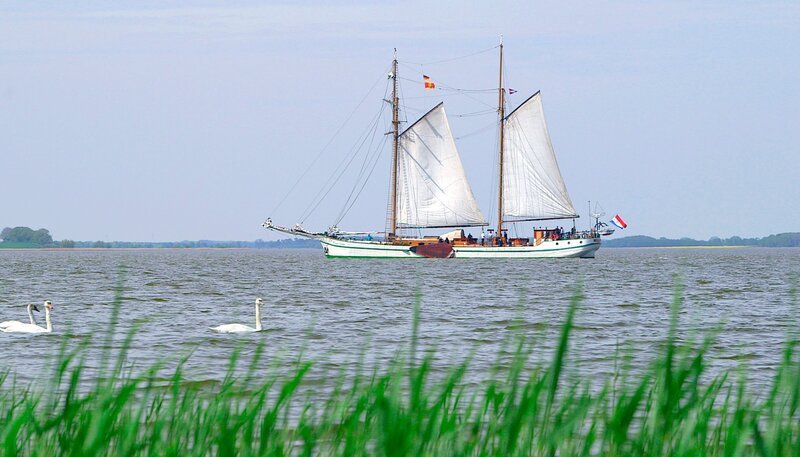 NDR Fernsehen MARETV, ‚Usedom – Seeadler, Sonne und Strand.‘ Der über 100 Jahre alte Segelschoner „Weisse Düne“ fährt Törns auf dem Usedomer Achterwasser. – Bild: SPWI