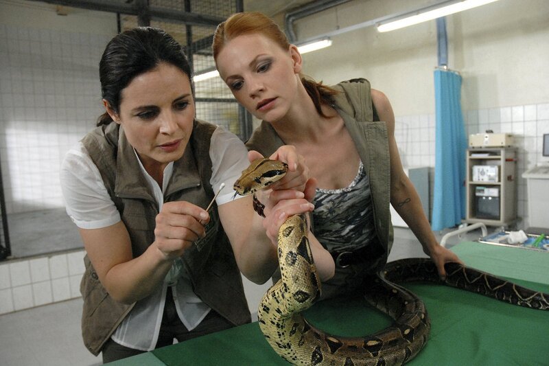 Die Boa hat Schnupfen! Für die unerschrockene Tierärztin Dr. Mertens (Elisabeth Lanz, links) und ihre mutige Assistentin Anett (Anna Bertheau) ist die Behandlung kein Problem. – Bild: ARD/​BR/​Christa Köfer