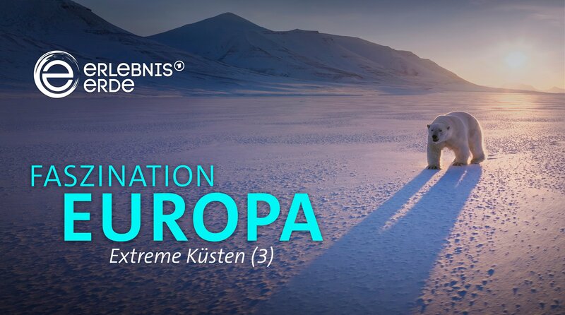 Europas Gebirge sind ein atemberaubender, doch unbarmherziger Lebensraum. Steinadler segeln über die Gipfel der Alpen, während Hirsche in den Highlands bis aufs Blut kämpfen. Nachwuchs sorgt für Aufregung bei den Affen von Gibraltar, und in Norwegens Hochebenen trotzen Moschusochsen der eisigen Kälte. – Keyvisual – Bild: WDR/​Light & Shadow GmbH