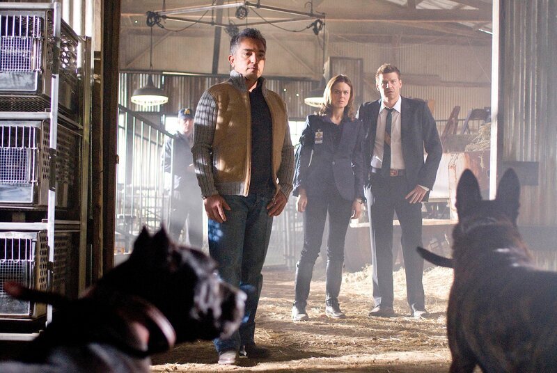 BONES: „The Dog Whisperer“ Cesar Millan steps in to help Brennan (Emily Deschanel) and Booth (David Boreanaz) when they discover a dog-fighting ring may be connected to the death of a veterinarian in the BONES episode „The Finger in the Nest“ – Bild: Mark Lipson /​ FOX