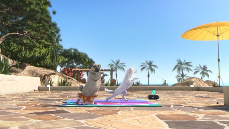 Mike, Fluffy und Stella machen ihr morgendliches Yoga zusammen. – Bild: SUPER RTL / Der Katzenwaschbär Mike, Fluffy und Stella machen ihr morgendliches Yoga zusammen. – Bild: SUPER RTL / Der Katzenwaschbär
