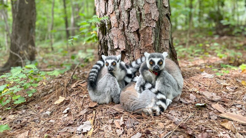 Bild: BR/​Text und Bild Medienproduktion GmbH & Co. KG/​Robert Sigl