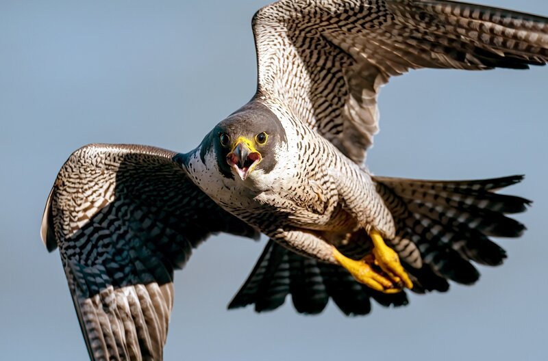 Bild: phoenix/​Arte/​Getty Images