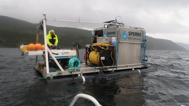 Bild: MSP Lizenzbild frei