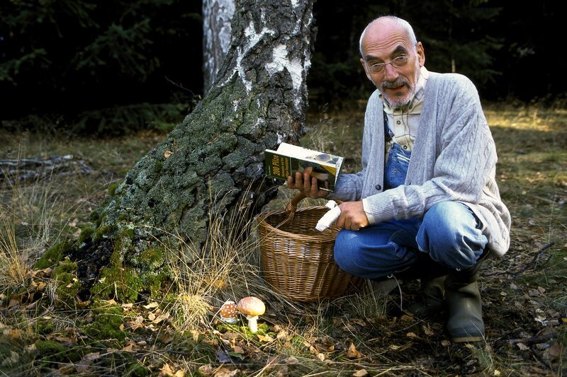 Peter (Peter Lustig) findet an der Birke einige Pilze. Diese Pilze holen sich ihre Nahrung aus den Wurzeln der Birke. Aber der Pilz gibt dem Baum auch etwas, so steht es jedenfalls im Pilzbuch. – Bild: Studio TV