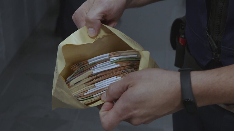 Bild: Discovery Channel – EMEA. /​ CINE NATURALEZA Y TELEVISION S.L /​ Discovery Communications