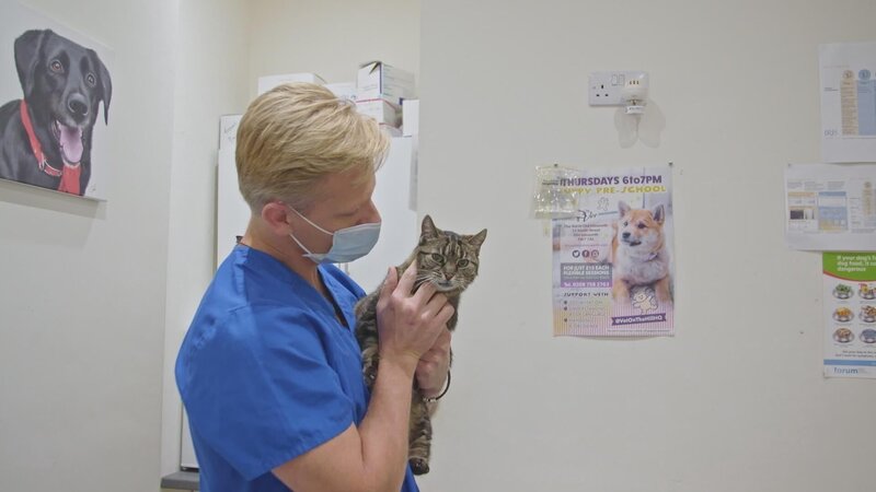 Bild: 2023 WTFN Entertainment Pty Ltd. Lizenzbild frei