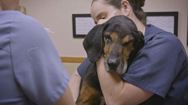 . – Bild: Warner Bros. Discovery