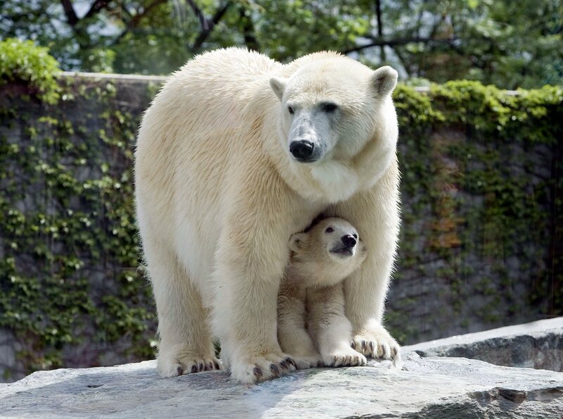 Zoogeschichten aus Stuttgart – Bild: SWR/​Jürgen Haas